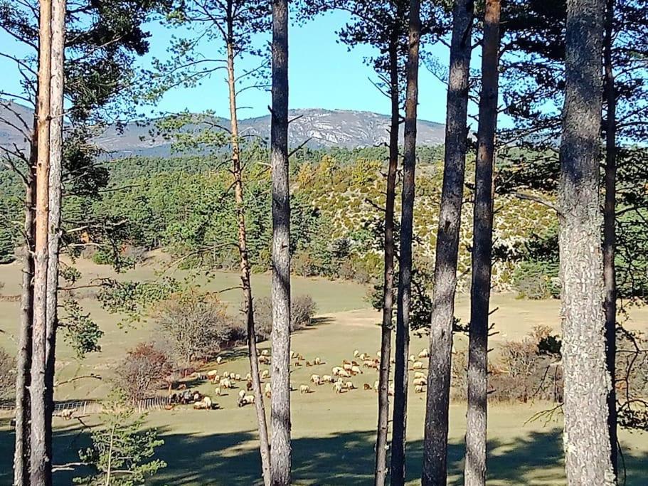 Séranon Montagne, Mer Et Verdon מראה חיצוני תמונה
