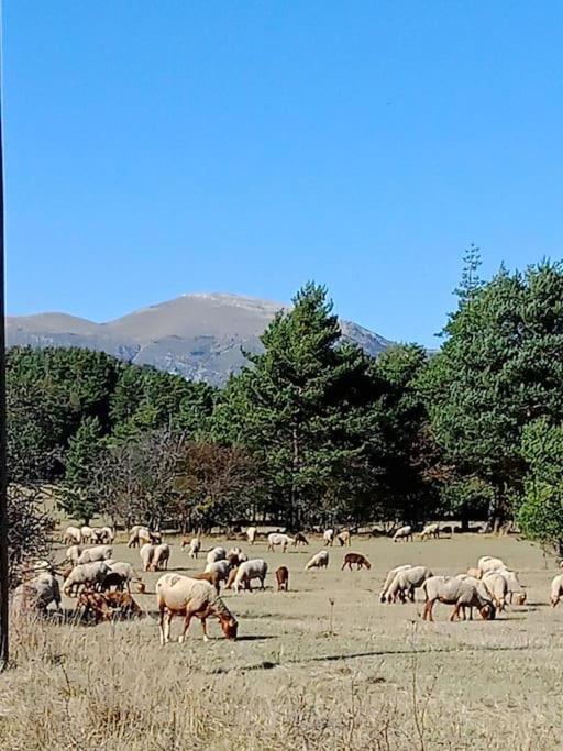 Séranon Montagne, Mer Et Verdon מראה חיצוני תמונה