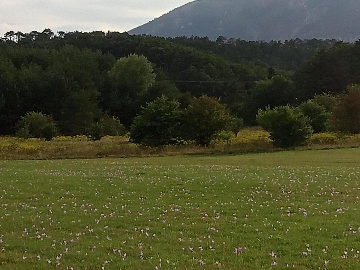 Séranon Montagne, Mer Et Verdon מראה חיצוני תמונה