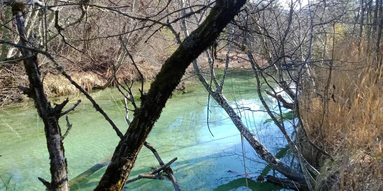 Séranon Montagne, Mer Et Verdon מראה חיצוני תמונה